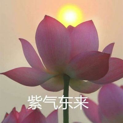 御龙传奇bt果盘变态版下载